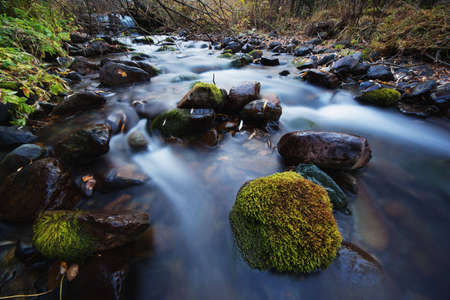 River in mountain forest
