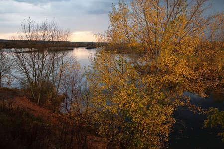 Sunset on river and autumn birch