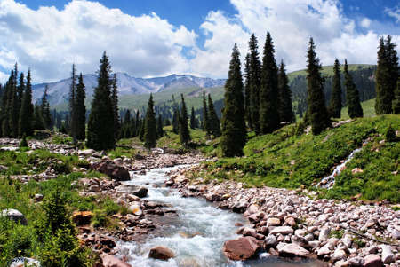 Summer mountain valley, Kazakhstan, Tyan-Shan mountains Summer mountain valley, Kazakhstan, Tyan-Shan mountains