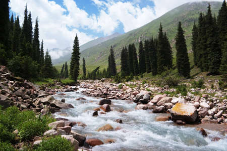 Summer mountain valley, Kazakhstan, Tyan-Shan mountainsの写真素材