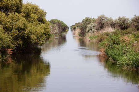 Canal from Syr Darya river, Kazakhstanの写真素材
