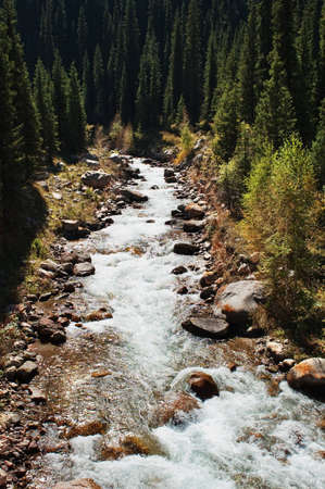 Vertical shot of the mountain riverの写真素材
