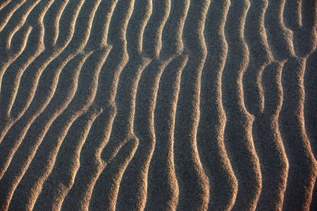 Sand waves in desert background