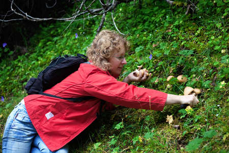 Woman picking up mushrooms in the forest
