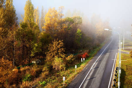 Road in autumn forest and fogの写真素材
