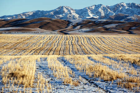 First snow on the fields and mountainsの写真素材