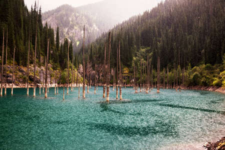 Lake Kaindy in Tyan-Shan mountains, Kazakhstan and rainの写真素材