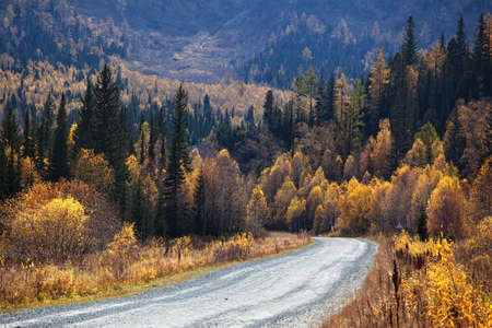 Old country road in autumn mountain forest, Altai mountains, Kazakhstanの写真素材