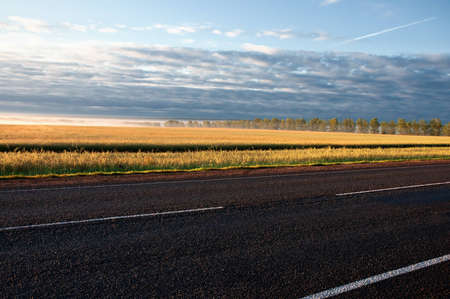 Morning fog at sunrise near the roadの写真素材