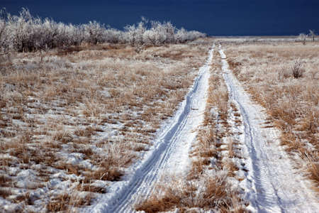 Country road in winter on the prairieの写真素材