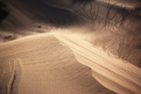 Sand storm in the desertの写真素材