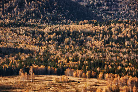 Autumn landscape in the mountains 