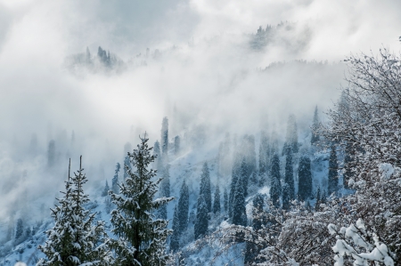 Winter in the mountainsの写真素材