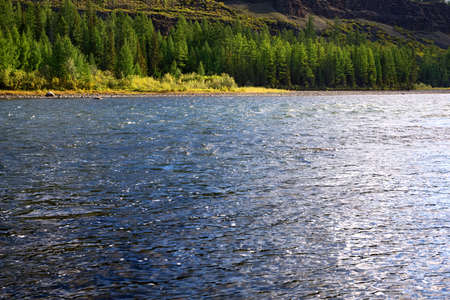 River Shishged in northern Mongolia.の写真素材