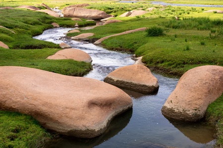 Beautiful little stream among stones in the grassの写真素材