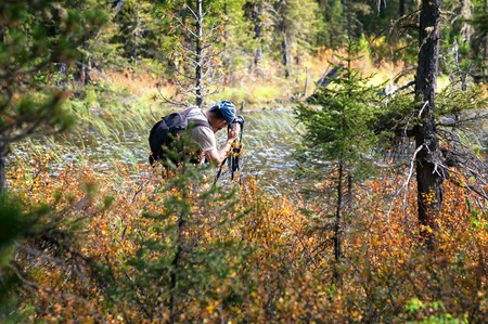 Photographer in mountain forest