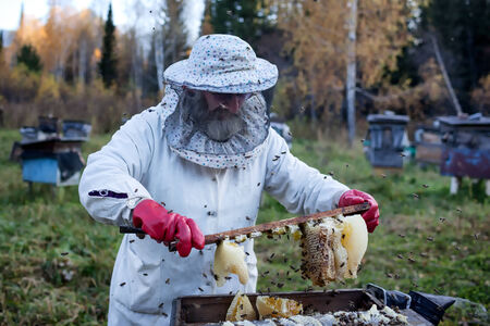 RIDDER, KAZAKHSTAN - OCT 01, 2009: Old beekeeper gathers honey on a sunset in the apiary in a forestのeditorial素材