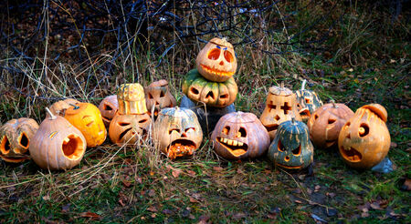 Group of Halloween pumpkinの写真素材