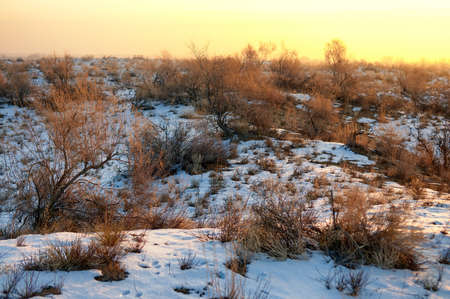 Winter desert in Almaty region, Kazakhstanの写真素材