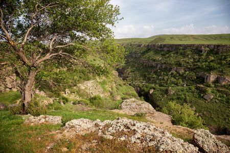 Aksu River Canyon, Aksu-Jabagly natural reserve in Alatau mountains, Central Asia, Kazakhstanの写真素材