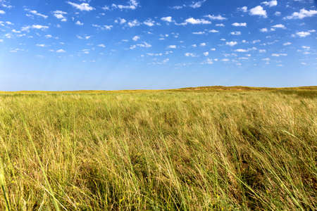 Great Kazakh steppe, Kazakhstan, Central Asiaの写真素材