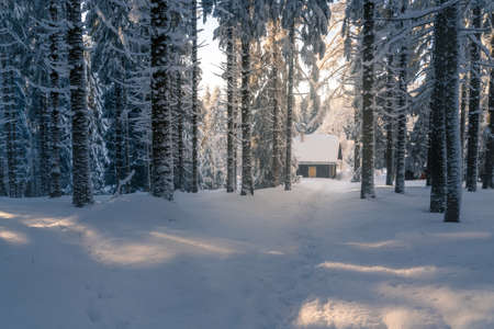 Small old house in the mountain woods on a sunny, very cold day with lots of snow. Footprints in the snow leading to the house. Beautiful winter forest. Beskid mountains, Czechia.の写真素材
