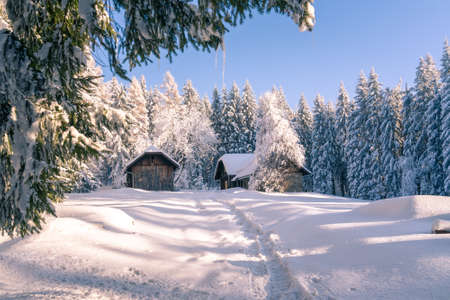 Small old house in the mountain woods on a sunny, very cold day with lots of snow. Footprints in the...
