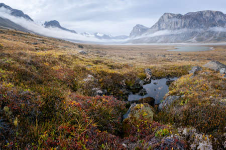 Rainy, hazy day in remote arctic valley of Akshayuk Pass, Baffin Island, Canada. Moss and grass in autumn colors, dramatic cliffs above the June Valley.の写真素材