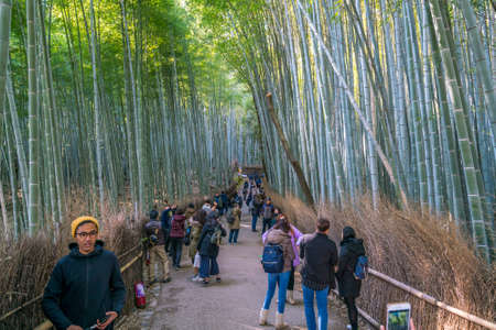 Kyoto, Japan - 12.02.2017: People walking in the aisle of Bamboo Forest, the Arashiyama Bamboo Groveのeditorial素材