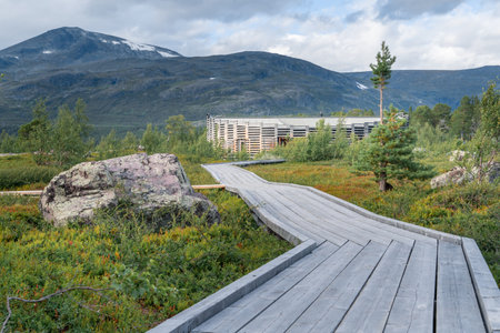 Vietas, Sweeden - 08.15.2021: Modern wooden building of Visitor Center Laponia in Stora Sjofallet, Stuor Muorkke National Park in Swedish Lapland.のeditorial素材