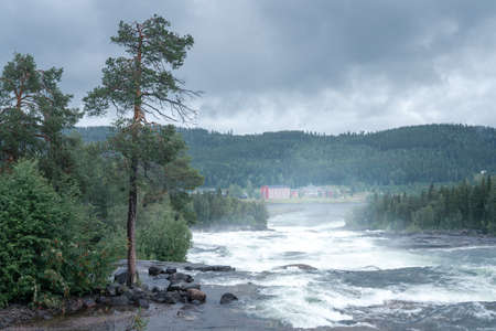 Storforsen, wild, huge waterfall on Pite River in Swedish arctic on a cloudy, rainy day of arctic summer. Norrbottens area, northwest of Alvsbyn. Wild nature of far north. Nature of Swedish Laplandの写真素材
