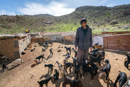 Shiraz, Iran - 04.10.2019: Iranian man standing in the midst of his baby goats in Iranian countryside. A day in the life of nomad.のeditorial素材