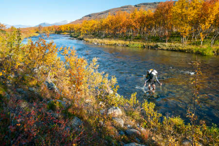 Male hiker wading river in the Stora Sjofallet national park in Sweidsh Lapland. Beautiful sunny...