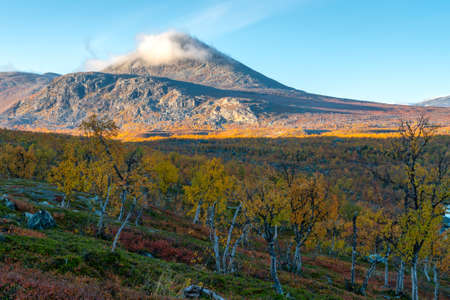 Beautiful, vivid autumn colors in remote arctic landscape. Wild nature of Stora Sjofallet national...