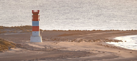 Dune and Heligoland, Germany - 02.27.2022: Lighthouse and big group of grey seals on the beach of Dune island, Heligoland on a beautiful sunny winer day. Wildlife of the north.の写真素材