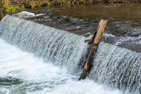 Dead tree clinched under waterfall on a cold day of spring. Tree trunk in water. Flood debris in water.の写真素材