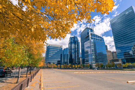 Calgary, Canada - 09.09.2018: City skyline viewed from under tree with yellow leaves. Blue sky reflect in glass walls of city skyscrapers. Sunny autumn day in the cityのeditorial素材