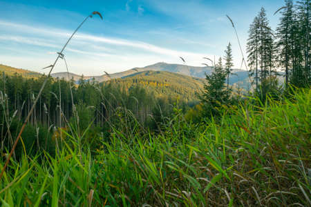 Beautiful sunny summer day in the Beskid mountains, Carpathians, Czech Republic. Lysa hora mountain in the background. Hills, trees and lots of green. Ecology concept.の写真素材