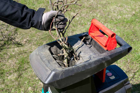 Left male hand in working glove inserting tree branches into electric garden shredder with weathered lawn in the background. Cleanup around the house. Working in the garden.の写真素材