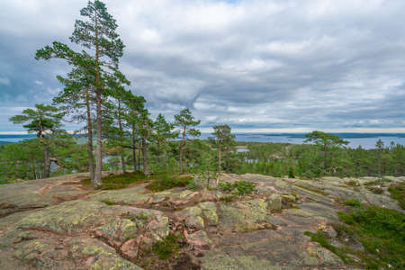 View of Baltic sea and gulf of Bothnia from the top of the rock in Skuleskogen national park, Sweden. Hiking along the High Coast trail, Hoha Kustenleden.の写真素材
