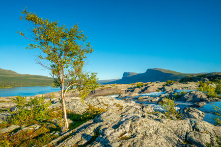 Golden hour by the rapids of Stuor Muorkke waterfall in Stora Sjofallet national park, Sweden. Adventure in arctic wilderness. Beautiful sunny day in Swedish arctic.の写真素材