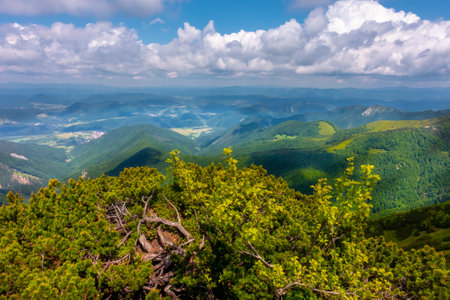 View of the vast mountains in Mala Fatra National Park, Slovakia, on a hot day of summer with cloudy sky. Summer hiking in the mountains. Green and blue colors.の写真素材