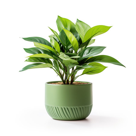 Green plant in a green flower pot isolated on white background. Concept for ecology, home, sustainability. AI Generated.の素材