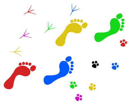 Silhouettes of legs of the people and animalsのイラスト素材