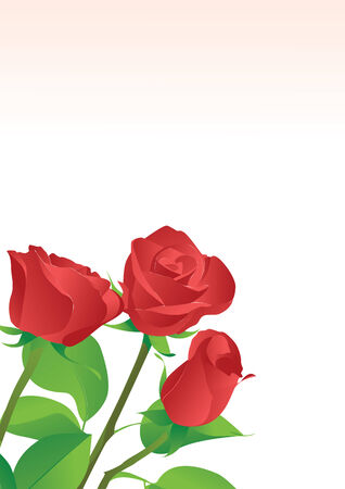 Three red roses on a white backgroundのイラスト素材