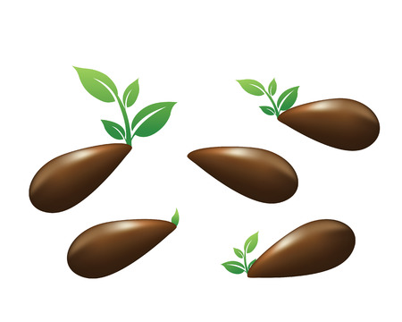 Green sprouts of plants on a white backgroundのイラスト素材