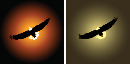 Eagle on a background of red sunsetのイラスト素材
