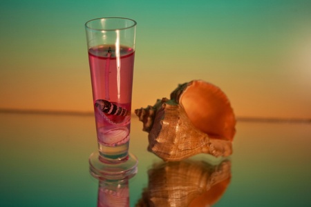Candle and shell on a green background