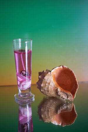 Candle and shell on a green backgroundの写真素材