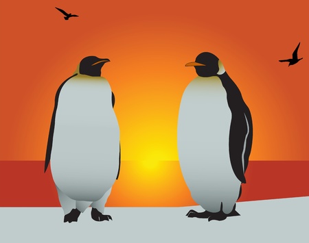 Antarctica. Silhouette of the penguin on a background of the evening skyのイラスト素材